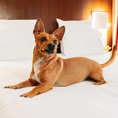 Mercure Piazza Bologna Hotell Rom