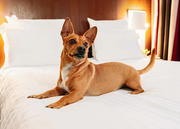 Mercure Piazza Bologna Hotel Rome